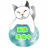 ◆ガチャ/ サンリオキャラクターズ だいすきリカちゃん ミニチュアパッケージコレクション【8月予約】