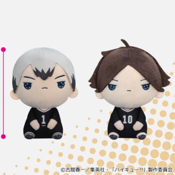 ◆ハイキュー!! もちぴこぬいぐるみ 10【入荷済】