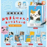 ◆ガチャ/ 証明写真風 おなまえにゃんこ あくりるチャーム【10月予約】