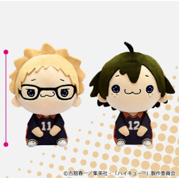 ◆ハイキュー!! もちぴこぬいぐるみ 3【入荷済】