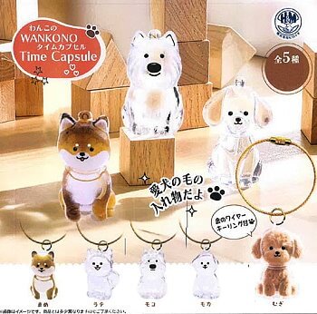 ◆ガチャ/ わんこのタイムカプセル【入荷済】