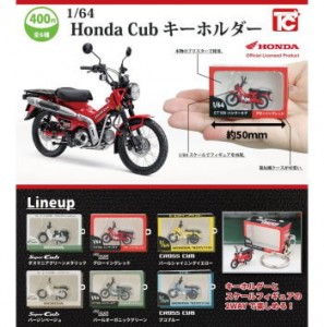 かぶ6